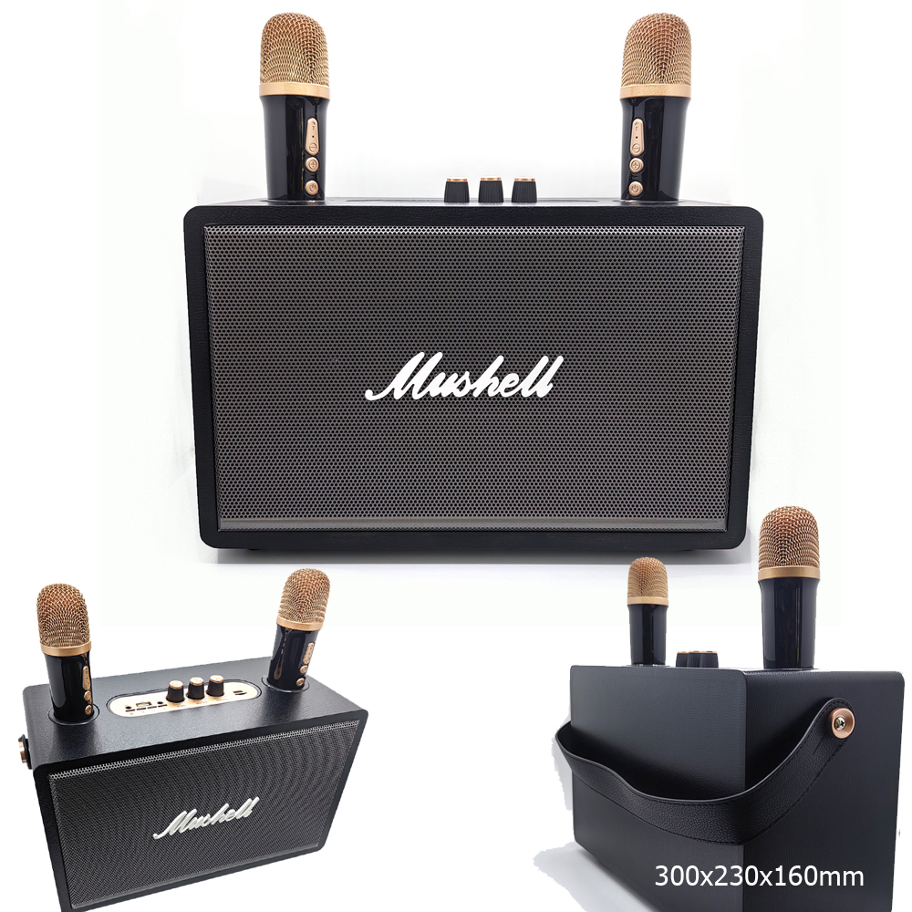 Taşınabilir Anfi Speaker 2 Mikrofonlu Bluetooth Bt Fm Usb Sd Rose SP-615