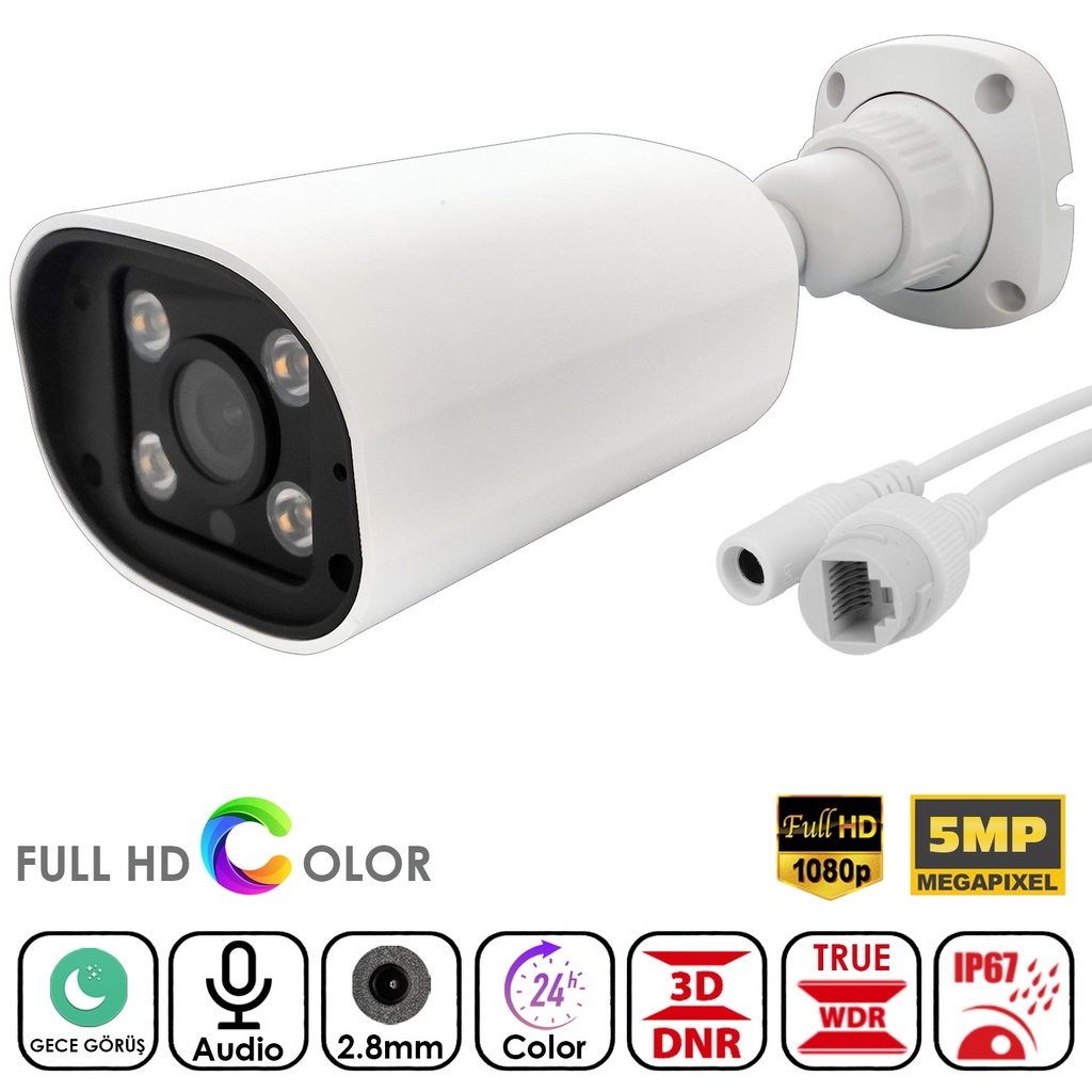 Colorvu Gece Renkli 5mp IP Bullet Kamera Mikrofonlu 2.8mm Apronx AX-BW168S