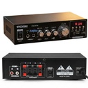 Anfi 2x50 Watt Bt Pc Mic Usb Sd 12v 220v 2 Mikrofon Girişli Rose FR-007A