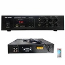 Anfi 100w Mono Bt Pc Mic Usb Sd 12v 220v 2 Mikrofon Girişli Rose FR-601U